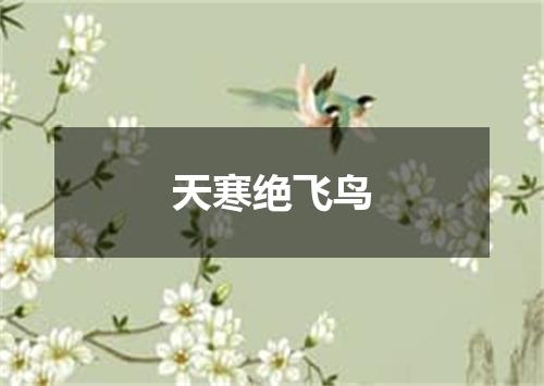天寒绝飞鸟