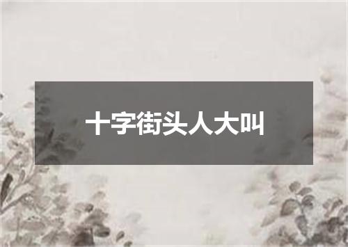 十字街头人大叫