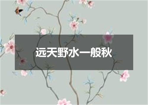 远天野水一般秋