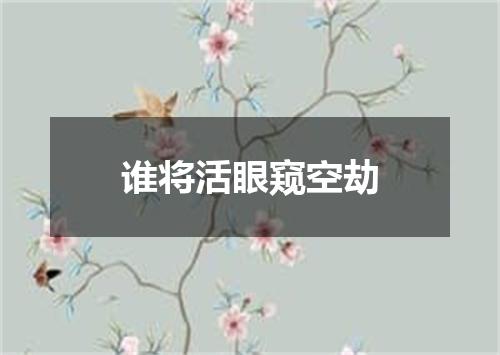 谁将活眼窥空劫