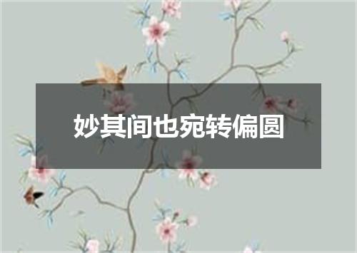 妙其间也宛转偏圆