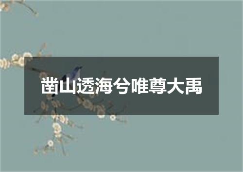 凿山透海兮唯尊大禹