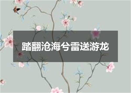 踏翻沧海兮雷送游龙