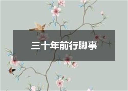 三十年前行脚事