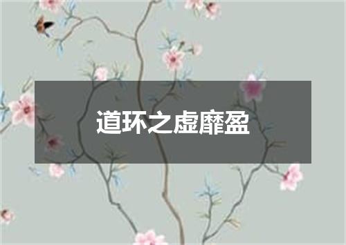 道环之虚靡盈
