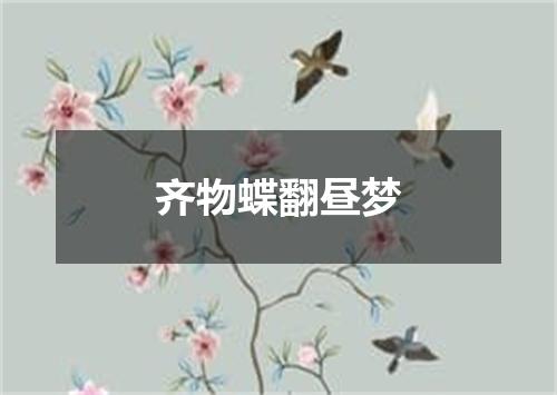 齐物蝶翻昼梦