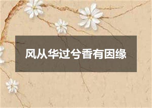 风从华过兮香有因缘