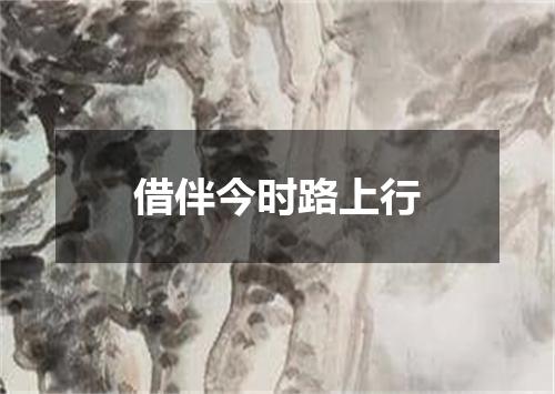 借伴今时路上行