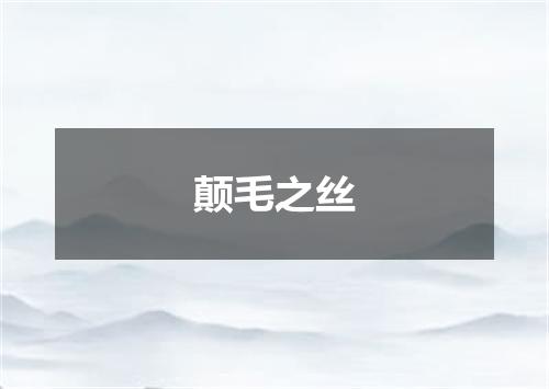 颠毛之丝