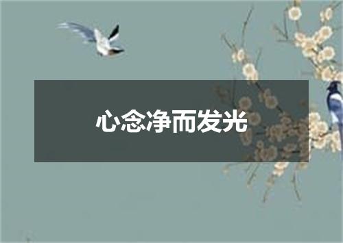 心念净而发光