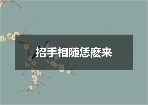 招手相随恁麽来