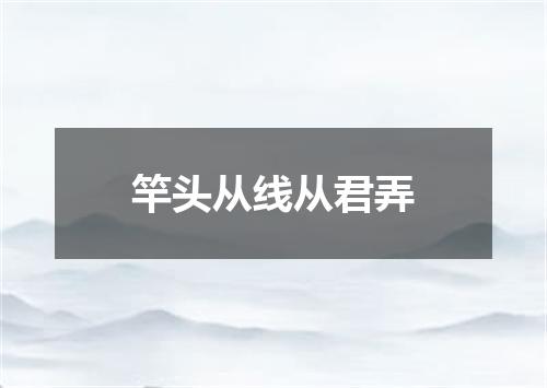 竿头从线从君弄