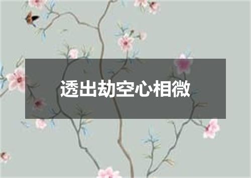 透出劫空心相微