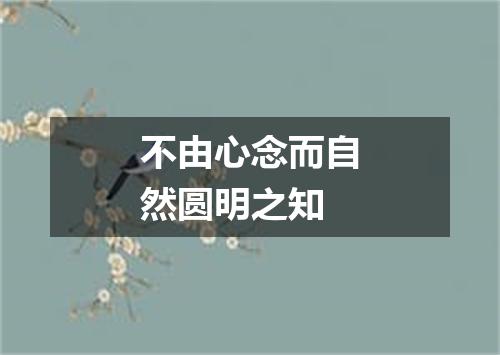 不由心念而自然圆明之知