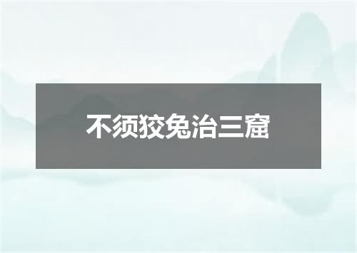 不须狡兔治三窟