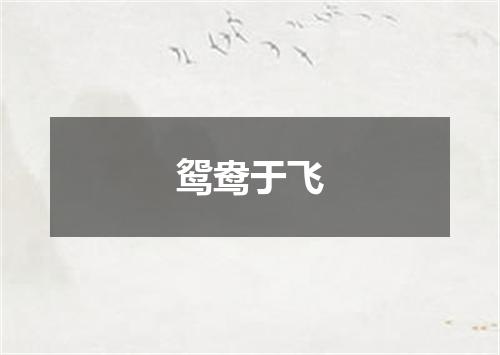 鸳鸯于飞