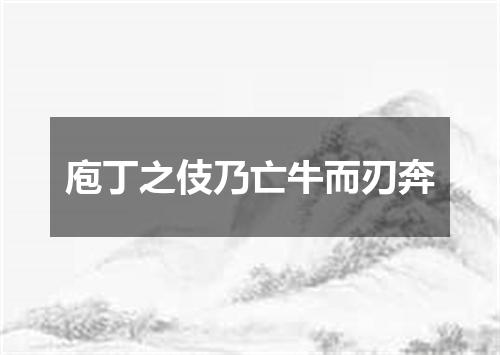 庖丁之伎乃亡牛而刃奔