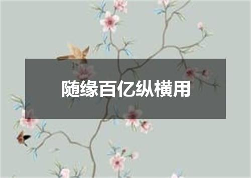 随缘百亿纵横用