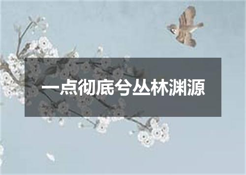 一点彻底兮丛林渊源
