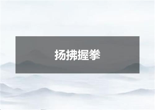 扬拂握拳