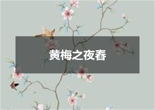 黄梅之夜舂