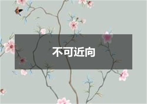 不可近向