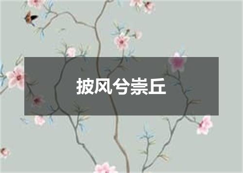 披风兮崇丘