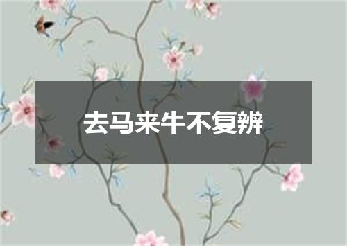 去马来牛不复辨