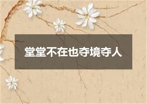 堂堂不在也夺境夺人