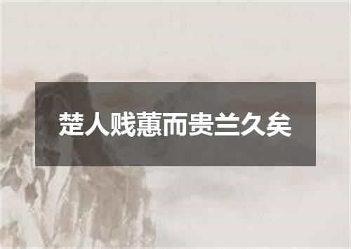 楚人贱蕙而贵兰久矣