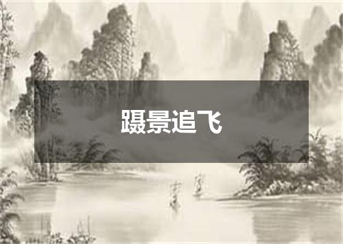 蹑景追飞