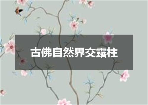 古佛自然界交露柱