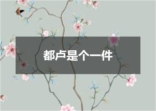 都卢是个一件