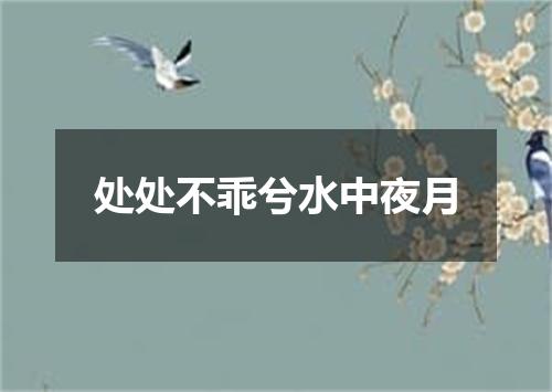 处处不乖兮水中夜月
