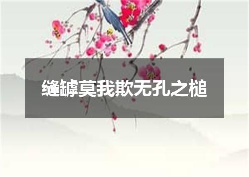 缝罅莫我欺无孔之槌