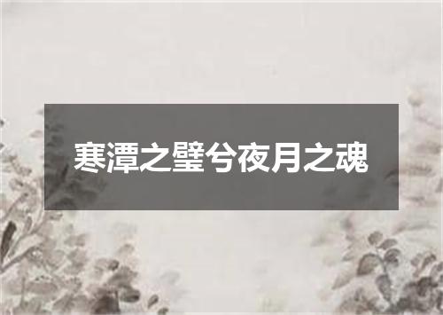 寒潭之璧兮夜月之魂