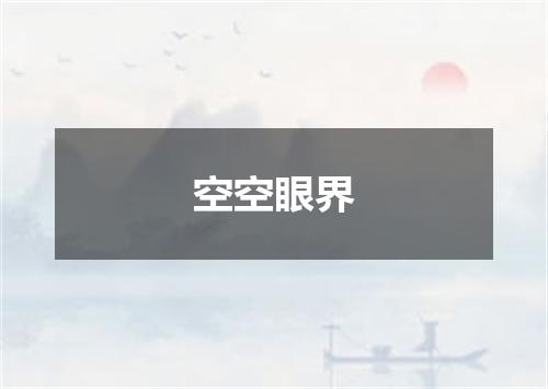 空空眼界