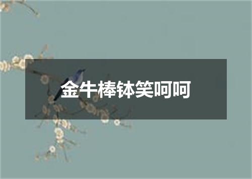 金牛棒钵笑呵呵