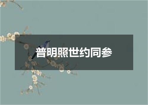 普明照世约同参