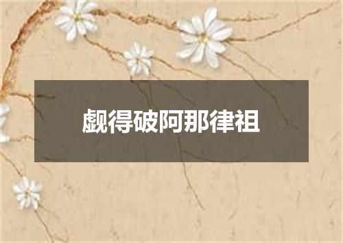 觑得破阿那律祖