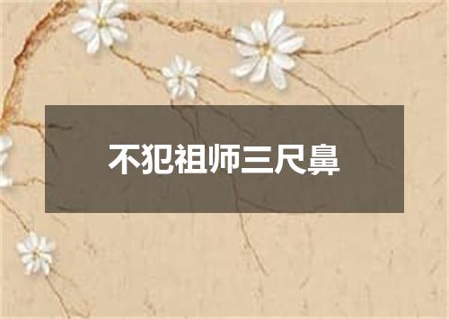 不犯祖师三尺鼻