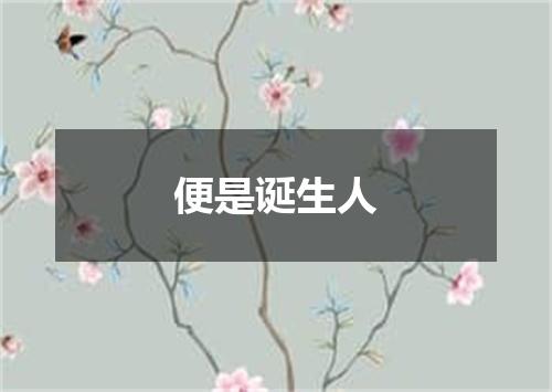 便是诞生人