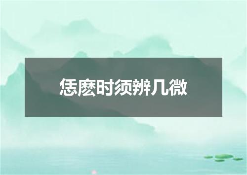 恁麽时须辨几微