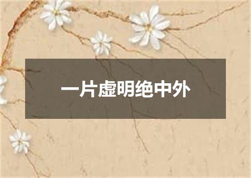 一片虚明绝中外