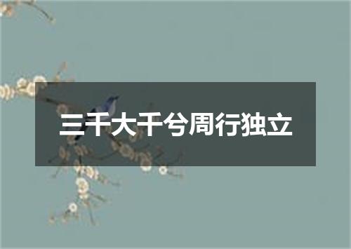 三千大千兮周行独立