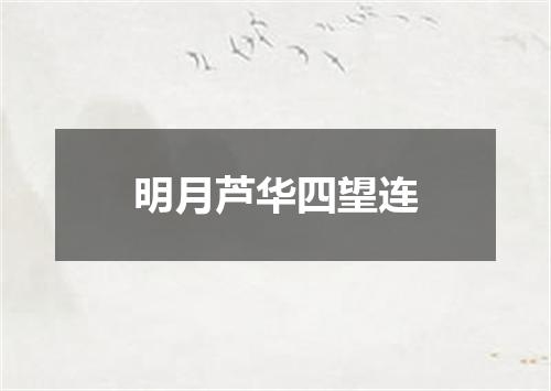 明月芦华四望连