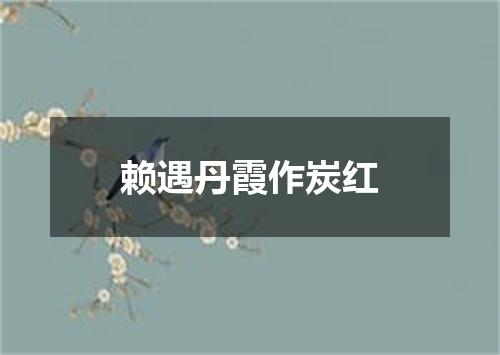 赖遇丹霞作炭红