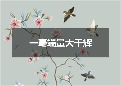 一毫端量大千辉
