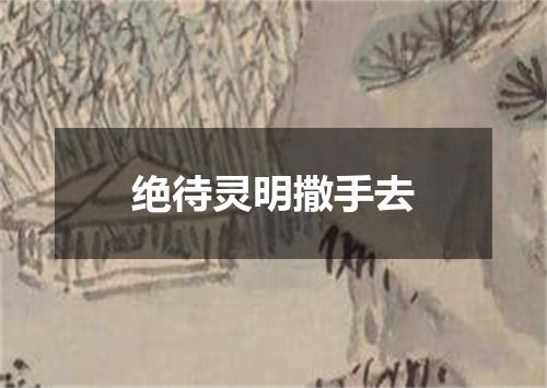 绝待灵明撒手去