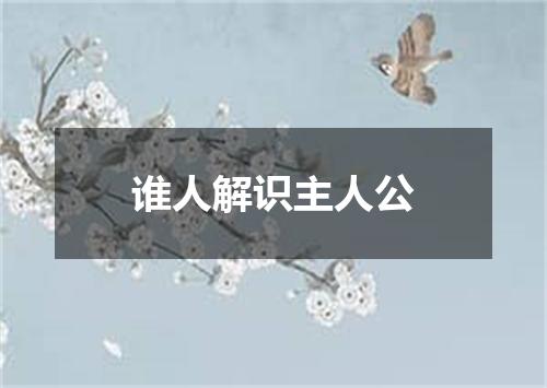 谁人解识主人公